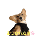 さくつくちゃちゃ♡（個別スタンプ：17）