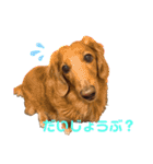 さくつくちゃちゃ♡（個別スタンプ：19）