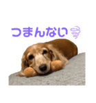 さくつくちゃちゃ♡（個別スタンプ：20）