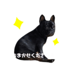 フレブルのすけくん 2（個別スタンプ：3）