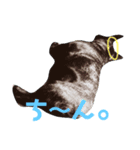 フレブルのすけくん 2（個別スタンプ：5）