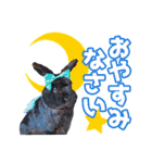 うさぎのミミのスタンプ（個別スタンプ：3）