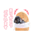 うさぎのミミのスタンプ（個別スタンプ：4）