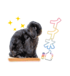 うさぎのミミのスタンプ（個別スタンプ：6）