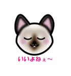 シャムにゃんのリム（個別スタンプ：1）