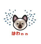シャムにゃんのリム（個別スタンプ：6）