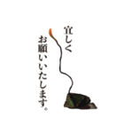 神秘のキノコ冬虫夏草（個別スタンプ：3）