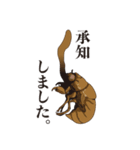 神秘のキノコ冬虫夏草（個別スタンプ：5）