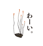神秘のキノコ冬虫夏草（個別スタンプ：9）