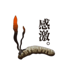 神秘のキノコ冬虫夏草（個別スタンプ：10）