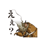神秘のキノコ冬虫夏草（個別スタンプ：11）