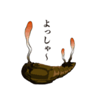 神秘のキノコ冬虫夏草（個別スタンプ：12）