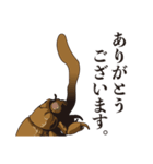 神秘のキノコ冬虫夏草（個別スタンプ：18）