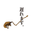 神秘のキノコ冬虫夏草（個別スタンプ：20）