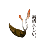 神秘のキノコ冬虫夏草（個別スタンプ：22）