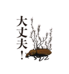 神秘のキノコ冬虫夏草（個別スタンプ：24）