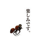 神秘のキノコ冬虫夏草（個別スタンプ：27）