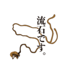 神秘のキノコ冬虫夏草（個別スタンプ：34）