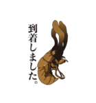 神秘のキノコ冬虫夏草（個別スタンプ：36）