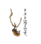神秘のキノコ冬虫夏草（個別スタンプ：37）