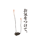 神秘のキノコ冬虫夏草（個別スタンプ：40）