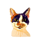 三毛猫 るぴちゃんの手描きスタンプ（個別スタンプ：1）
