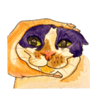 三毛猫 るぴちゃんの手描きスタンプ（個別スタンプ：3）