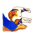 三毛猫 るぴちゃんの手描きスタンプ（個別スタンプ：4）
