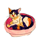 三毛猫 るぴちゃんの手描きスタンプ（個別スタンプ：15）