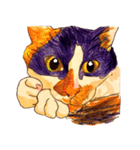 三毛猫 るぴちゃんの手描きスタンプ（個別スタンプ：16）