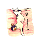 三毛猫 るぴちゃんの手描きスタンプ（個別スタンプ：18）