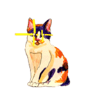 三毛猫 るぴちゃんの手描きスタンプ（個別スタンプ：23）