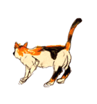 三毛猫 るぴちゃんの手描きスタンプ（個別スタンプ：24）