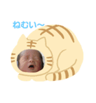 双子chan05（個別スタンプ：3）