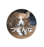ルフィーと語る楽しいLINEスタンプ！第一弾（個別スタンプ：3）