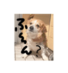 ルフィーと語る楽しいLINEスタンプ！第一弾（個別スタンプ：8）