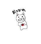 にゃんこ2020（個別スタンプ：3）