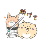 癒し系 メディわんこスタンプ EXTRA 2（個別スタンプ：18）