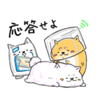 癒し系 メディわんこスタンプ EXTRA 2（個別スタンプ：24）