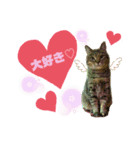 サスケとごまめ①（個別スタンプ：3）