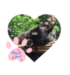 ฅ^•ﻌ•^ฅ♡（個別スタンプ：6）