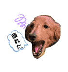 ✳︎セブン✳︎（個別スタンプ：9）