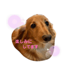 ✳︎セブン✳︎（個別スタンプ：10）