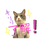 kyoko's zooその3（個別スタンプ：1）