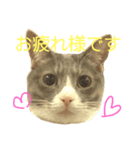 kyoko's zooその3（個別スタンプ：2）