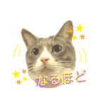 kyoko's zooその3（個別スタンプ：4）