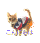 kyoko's zooその3（個別スタンプ：5）
