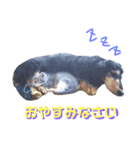 kyoko's zooその3（個別スタンプ：7）