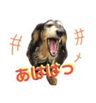 kyoko's zooその3（個別スタンプ：8）