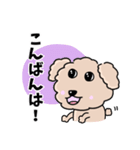 トイプードルの食いしん坊レオくん（個別スタンプ：2）